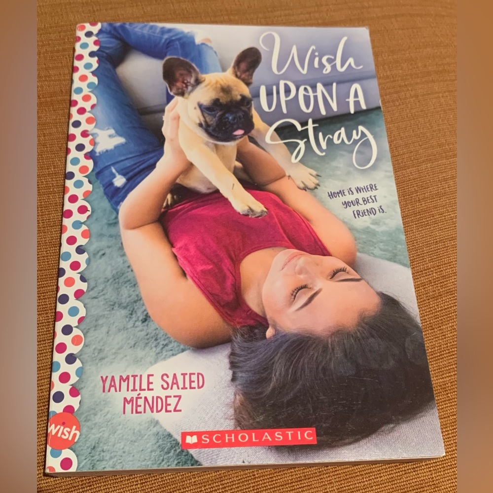 Wish Upon a Stray: A Wish Novel Paperback Book